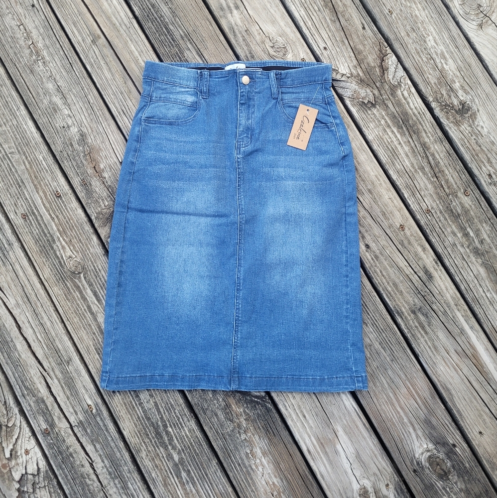 Blue Knee-Length Pencil Skirt for Casual Days